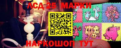 ПСИЛОЦИБИНОВЫЕ ГРИБЫ Гусев