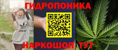 ПСИЛОЦИБИНОВЫЕ ГРИБЫ Гусев
