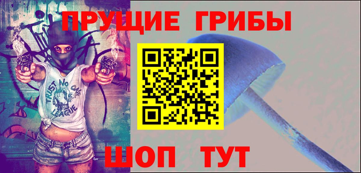 Псилоцибиновые грибы Psilocybine cubensis Мичуринск