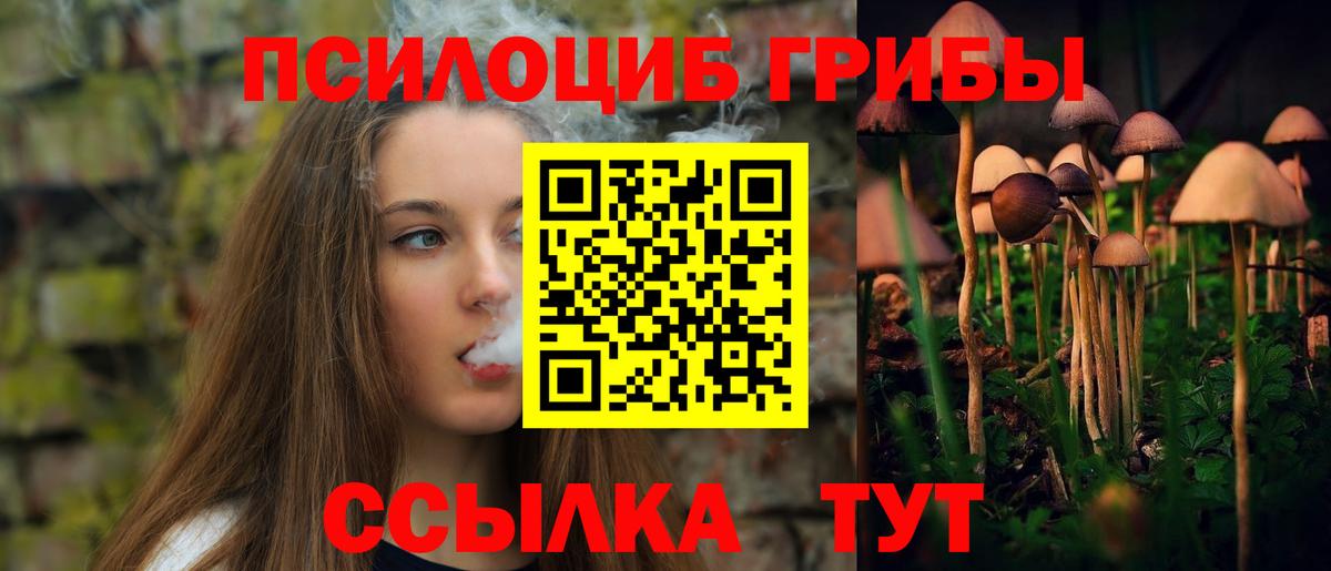 Мичуринск  Псилоцибиновые грибы Psilocybine cubensis  купить   Вход с VPN 